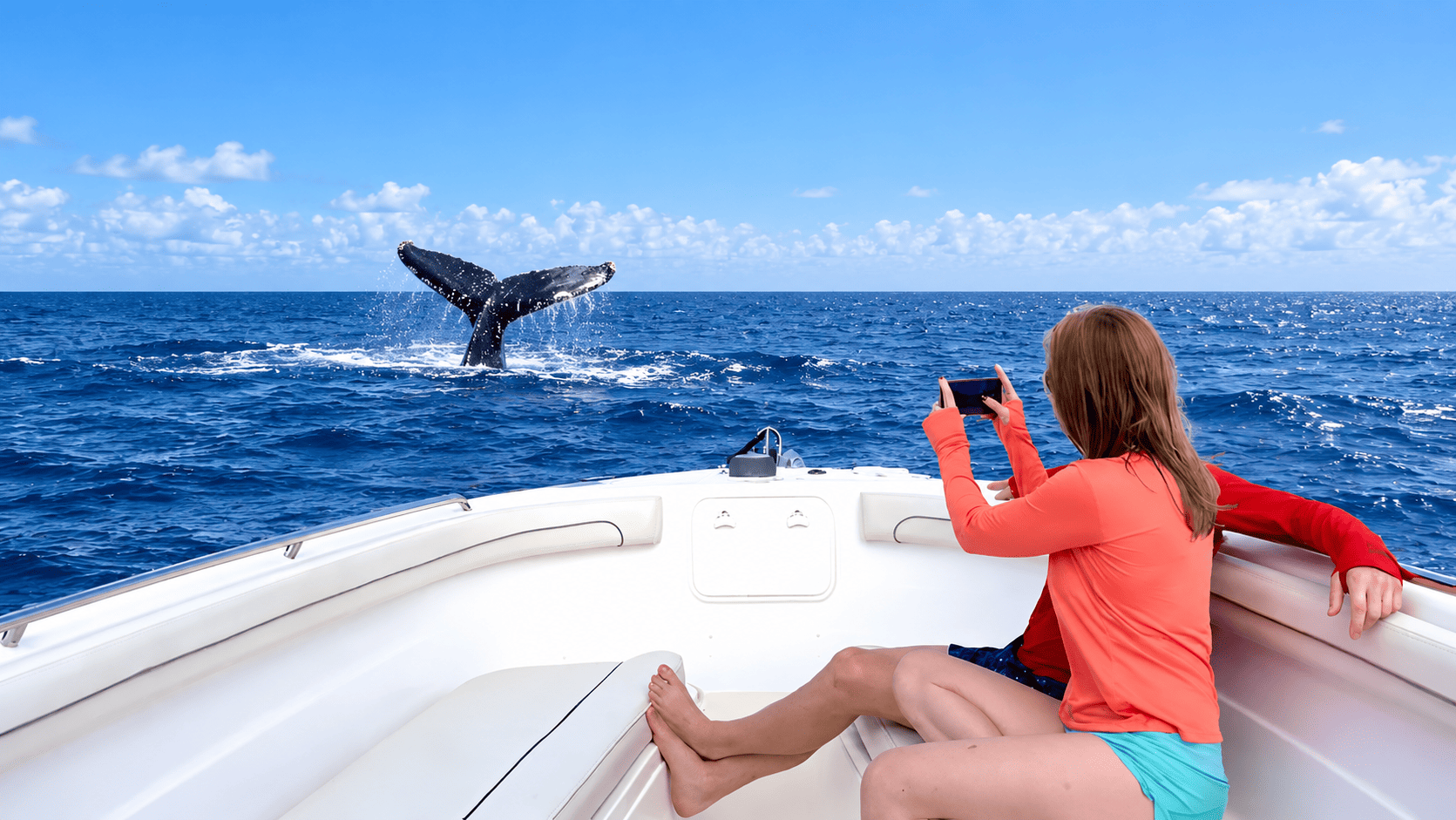 Hilo Ocean Adventures - Royal Humpback Whale Watching Tour